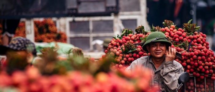 self-guided motorcycle tour vietnam