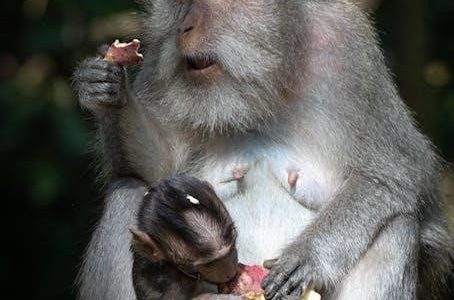 baby brezza warmer instructions