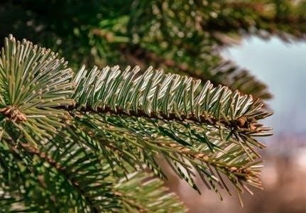 odsp mandatory special necessities form pdf